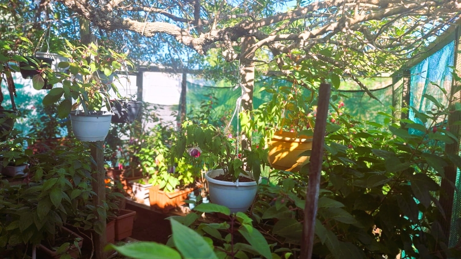 3 Bedroom Property for Sale in Jongensfontein Western Cape